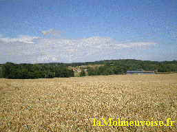 Plaine cralire  Coulanges